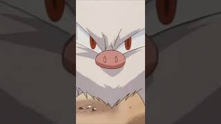 Pokédex 0056 - Mankey #pokemon #pokémon #pokédex #mankey