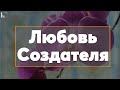 Любовь Создателя | Тулкын хазрат