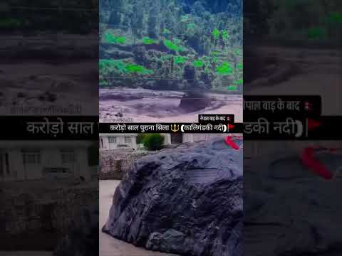 #bhojpuri🛕🌺🔱🚩🙏 #dance #song  #khesarilalkajalraghwani
