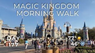 🔴 LIVE: Morning — Calm Disney World Walk & Opening Show | Day 177 | #TDWSS screenshot 5