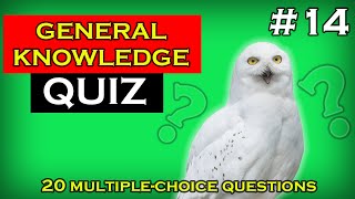 Test Your Trivia Knowledge! - General Knowledge Quiz 14 - 20 Trivia Questions