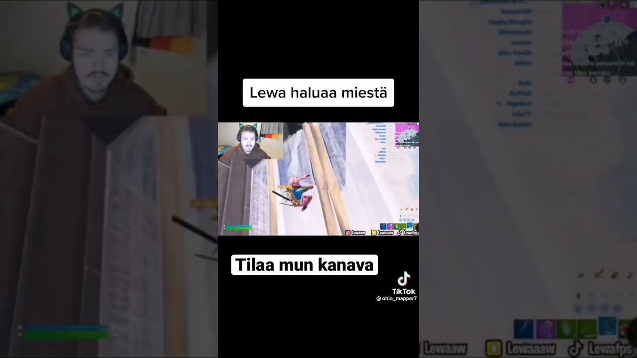 Lewan Hauskat Clipit 