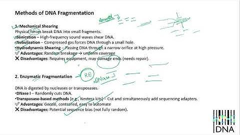 Day 2 – Principles & Workflow of NGS
