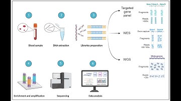 Day 2 – Principles & Workflow of NGS