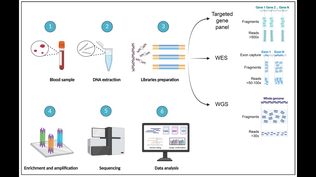 Summer Research Internship in Advanced Bioinformatics: Principles & Workflow of NGS