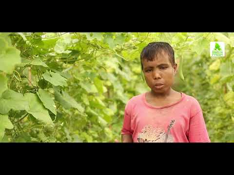 Mukti | Organic Farmer Dev Kumar Purkait is Cultivating Ridge Gourd (Jinghe)| Organic Farming