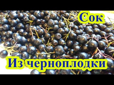 Черноплодка сок в домашних условиях