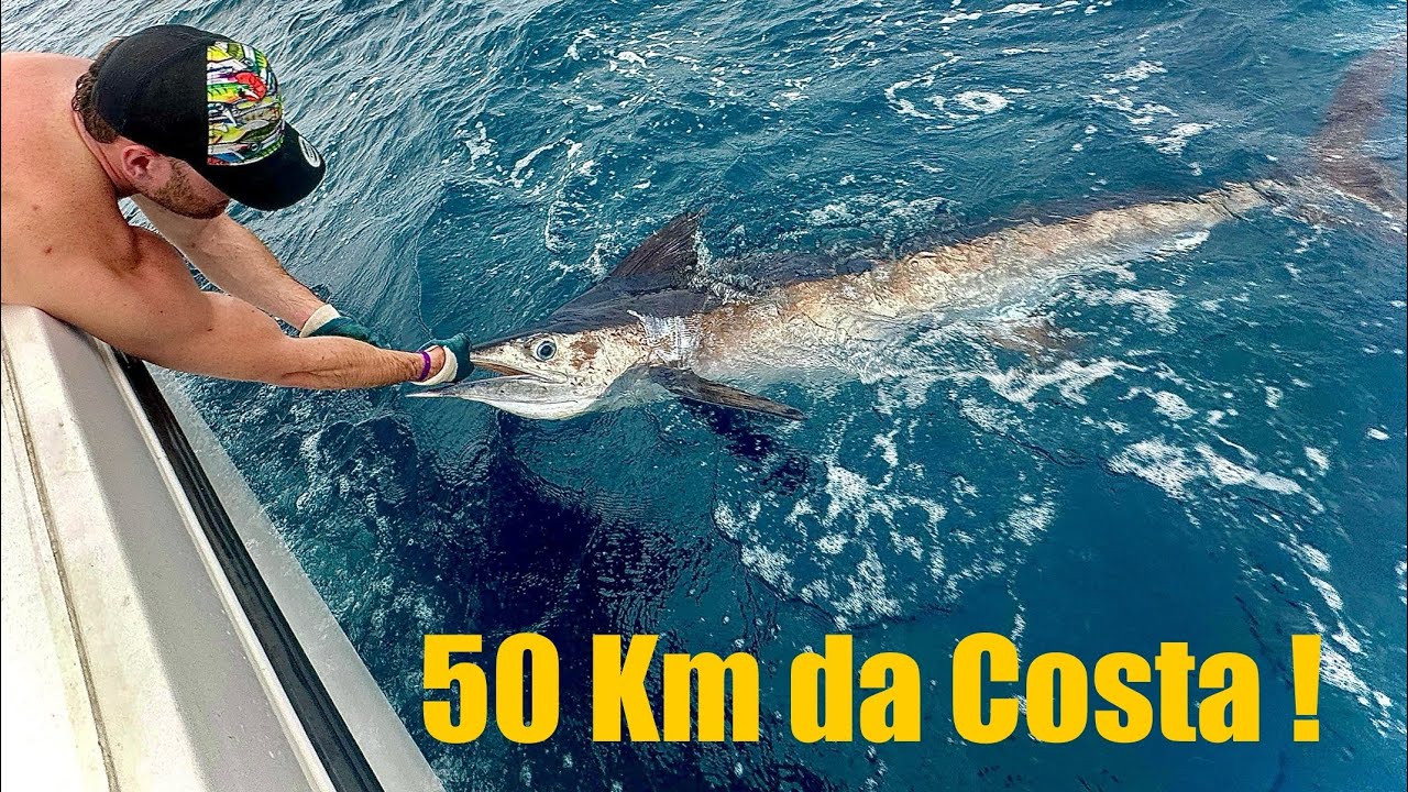 PEGAMOS O PEIXE MAIS ESPORTIVO DO MUNDO A 50KM DA COSTA