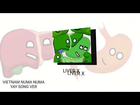 [Stomach x liver] Stover!!! | #humanbuddy animation By me