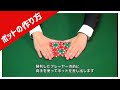 【ポット】カジノディーラー ポーカー テキサスホールデム ディーリング テクニック コツ Pot chip betting