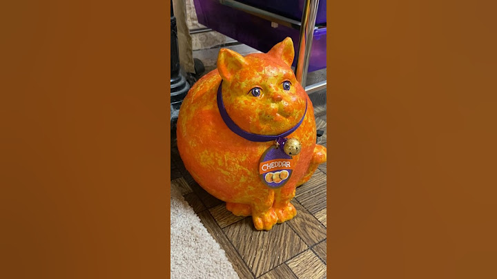 Making a Cheese Ball Cat!