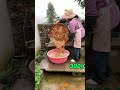 Why do Chinese people throw away all the pumpkins?#food #cooking #delicious #fyp #youtube #funny
