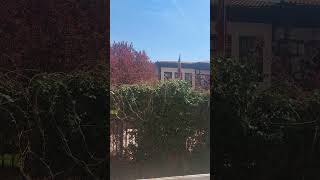 Bi̇r Ses Bi̇r Sela Okuma Variş