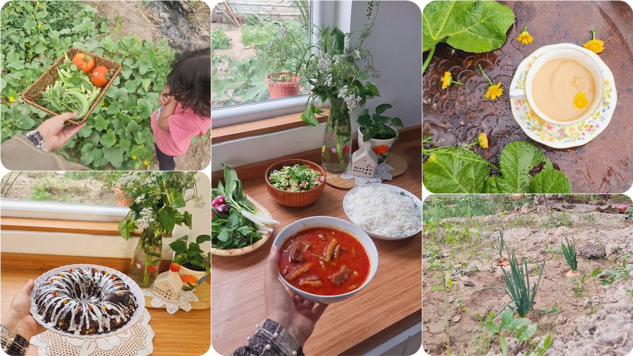 يومياتنه 🏡واخيرا بستاني 🫢باميه ديره وكيكه بارده ومطر والربيع والصيف 🥺🫶🤍