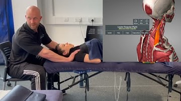 How to find levator scapula