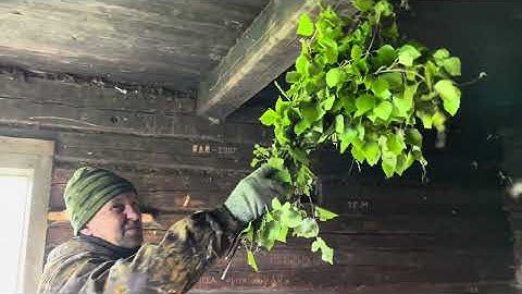 Abandoned hut in the Deep Taiga. Repair, Fish soup on the fire, Fishing.