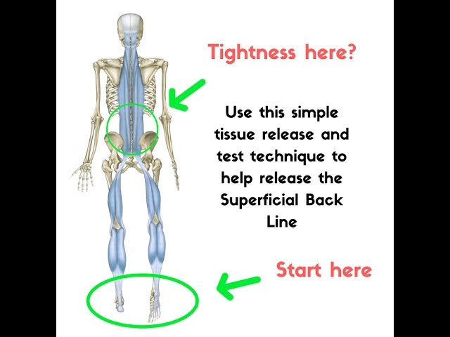 How to test for tension in your superficial back line 