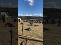 Viking Duels In Re Enactment FINISH HIM Vikings Reenactment Duel Vikingfight Fight 
