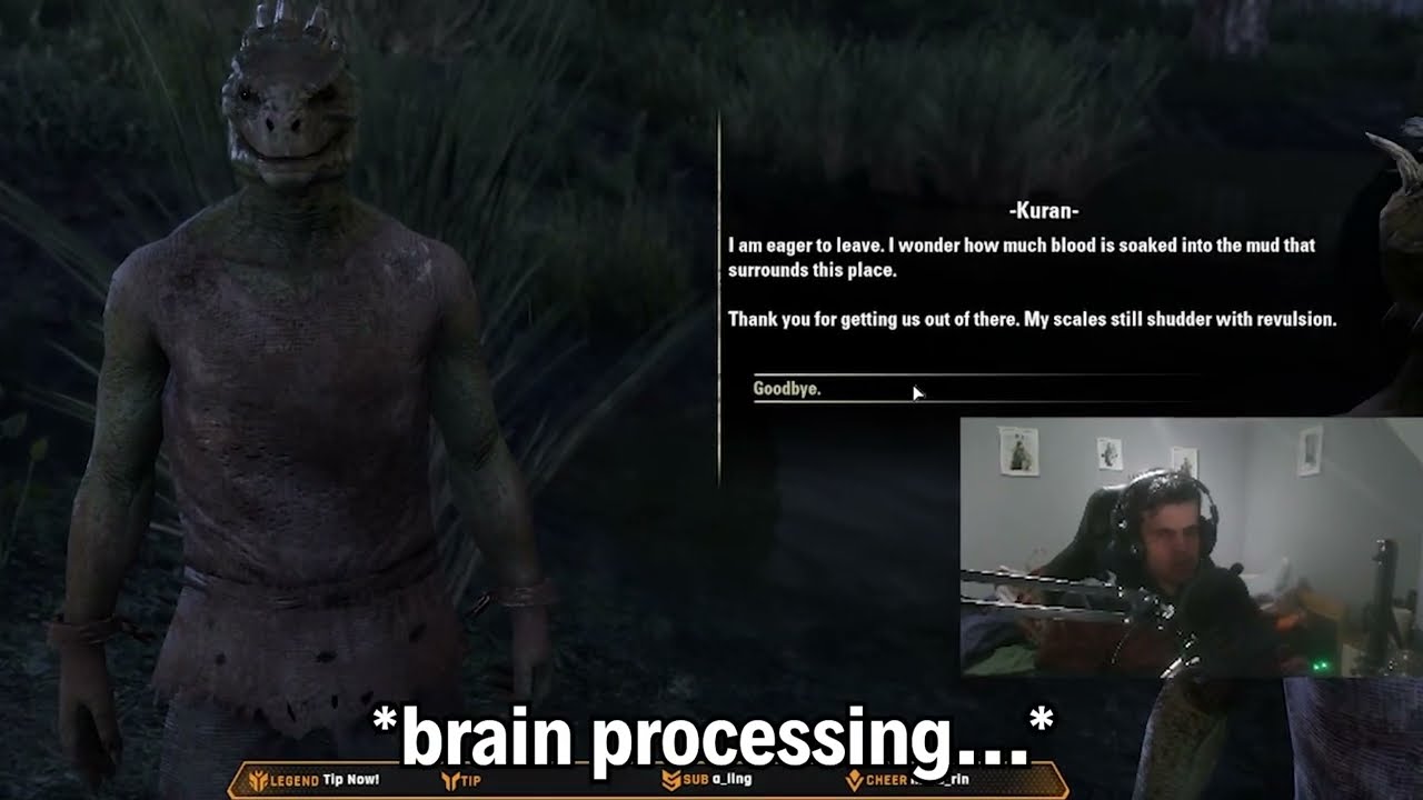Elder Scrolls Online Funny Moments Part 4