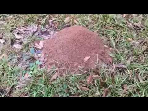 Что будет если