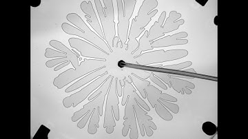 A compendium of several radial viscous fingering movies