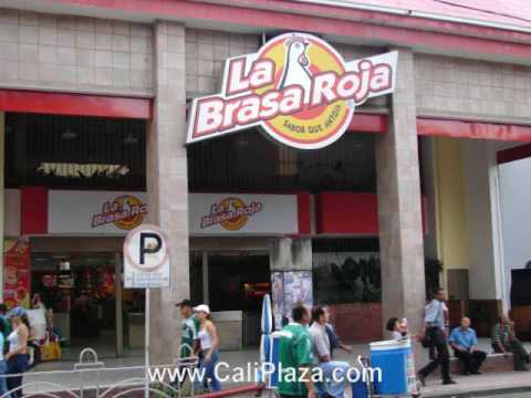 restaurants near zona rosa