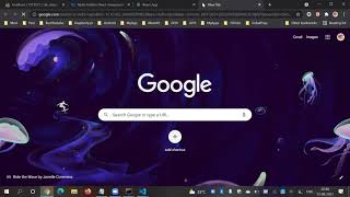 10 :  React Register & Login User Guide