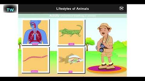 Class 5 Science chapter 2 Animal Life   animal life   class5   science   science chapter 2   ncert