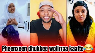 Pheenxeen Ofufaaf Dhukkee Wol Irraa Kaaste