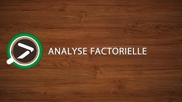 #13 Analyse Factorielle dans Excel avec XLSTAT
