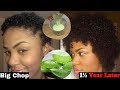 HOW TO GROW MY HAIR OUT!! | THE BEST Hair Mask for Hair GROWTH + DRY Hair