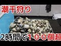 超大量！潮干狩り２時間で巨大貝１００個超！