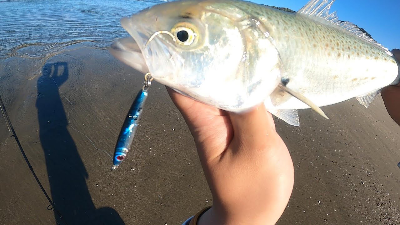 The Joys and Challenges of Spin Fishing for Kahawai NZ Beach Fishing