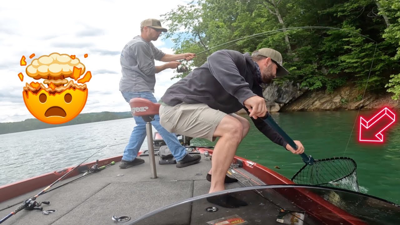 Bass fishing EARLY May.