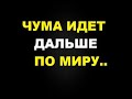 Чума идет дальше по миру. Новый случай бубонной чумы выявлен в Китае. Введен третий уровень в Китае.