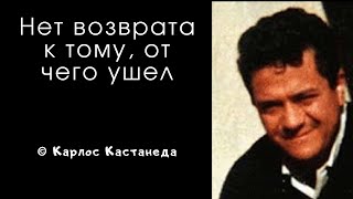 Настоящее откровение Карлоса Кастанеды. Цитаты и афоризмы