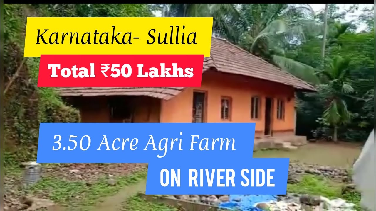 3.50 Acre Mixed Agrifarm on River side For Sale Sullia Karnataka