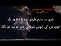 مولوی شمس خوی بد دارم ملولم تو مرا معذور دار خوی من کی خوش شود بی روی خوبت ای نگار عبدالکریم سروش