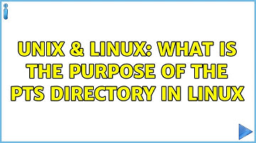 Unix & Linux: What is the purpose of the pts directory in linux