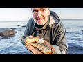 So fängst du MEERFORELLEN! Die 12 wichtigsten Punkte inkl. KOCHEN am Strand! 🔥