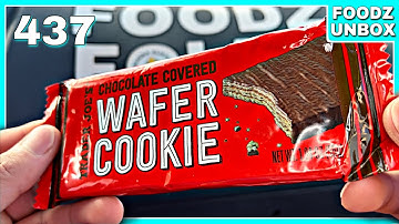 Trader Joe’s Chocolate Covered Wafer Cookie Review - Foodz Unbox 437