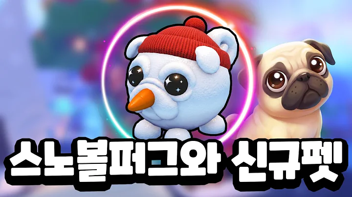 Video 11843651: giant maine coon cat, pets