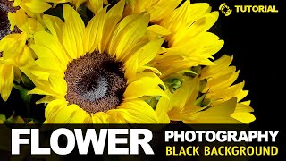 HOW TO PHOTOGRAPH FLOWERS INDOORS. Flower Photography On A Black Background screenshot 5