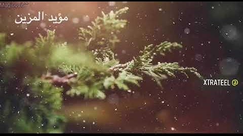 أرح سمعك 🥀القارئ: مؤيد المزين🍃حالات واتس آب