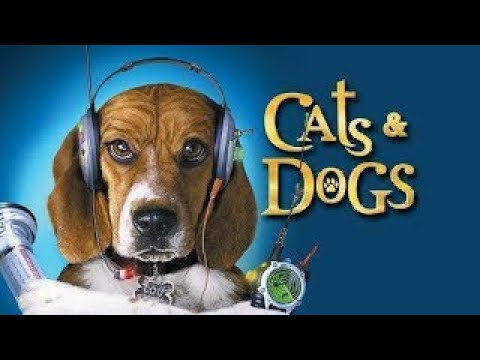 new-cats-and-dogs-tamil-movie-|-new-hollywood-movie-|-latest-tamil-movie-|-tiger-and-lion-movie-2020