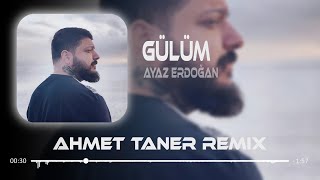 Ayaz Erdoğan - Gülüm ( Ahmet Taner Remix ) | Bile bile bana yine zehir ediyon