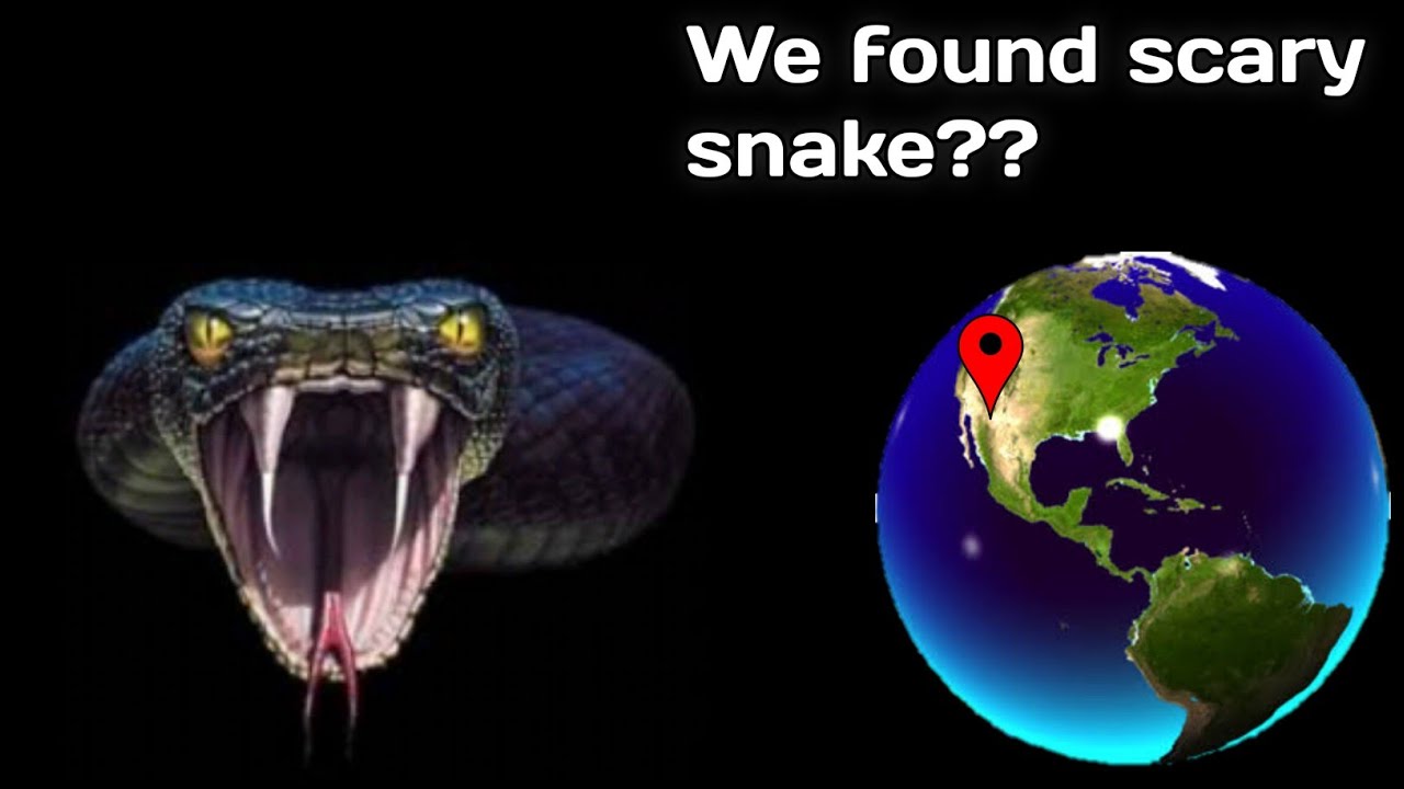 Giant snake's skeleton in Google Earth and Google map | Mystery of my Geo