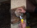cutting |See view