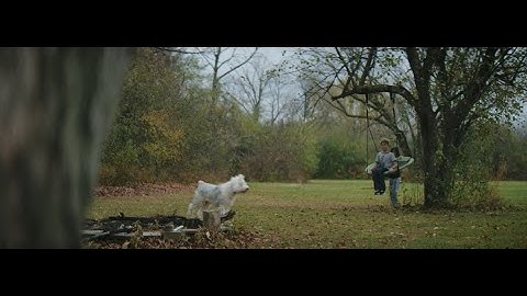 An inspiring journey: How one patient