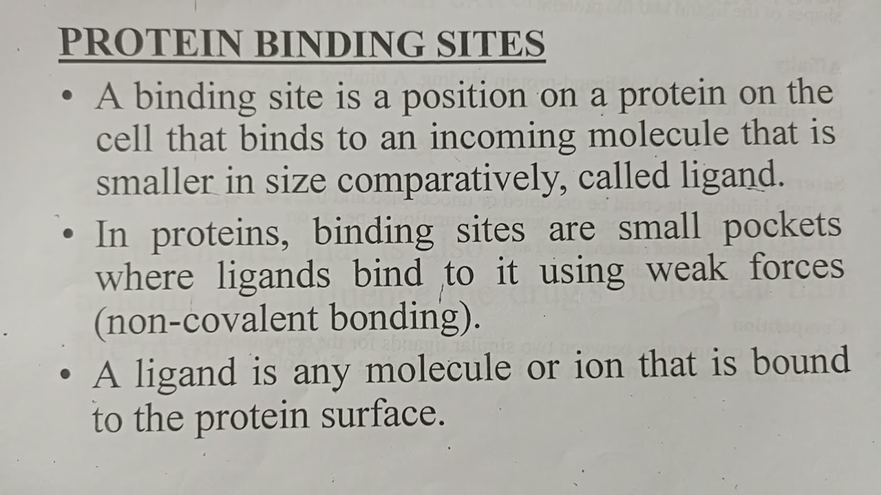 Protein Binding Sites | Maryam Shamim